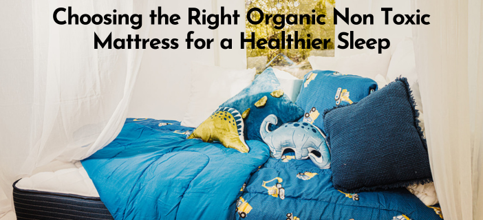 Organic Non Toxic Mattress
