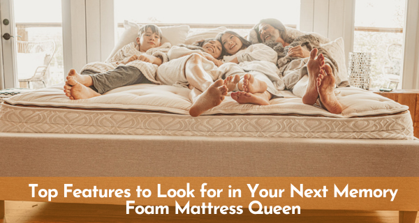 NextDayDumpsters Memory Foam Mattress Queen