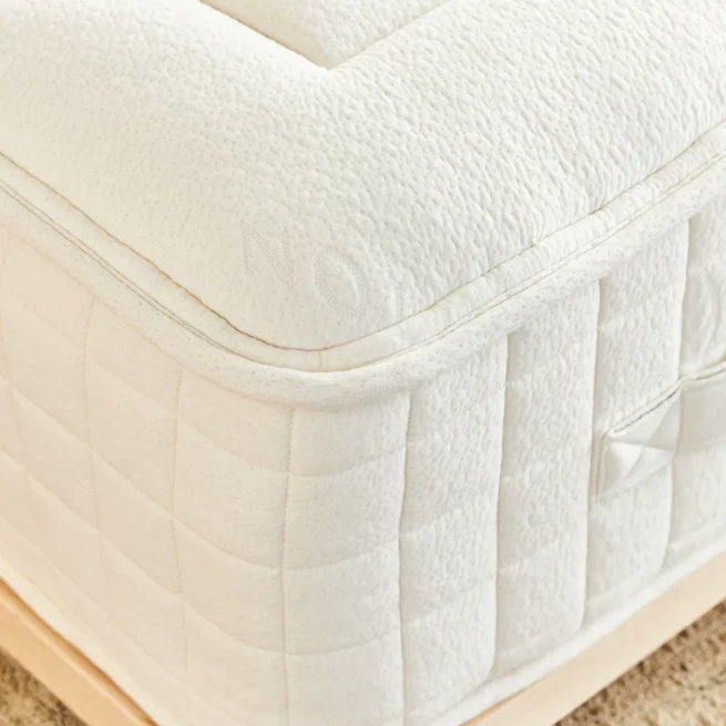 Avocado Green Mattress Luxury Plush Mattress - Image 5