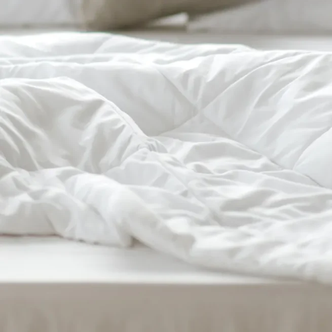 Naturepedic Down Comforter / Duvet - Image 6