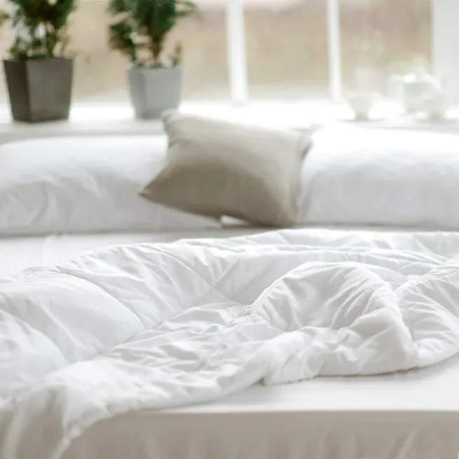 Naturepedic Down Comforter / Duvet - Image 3