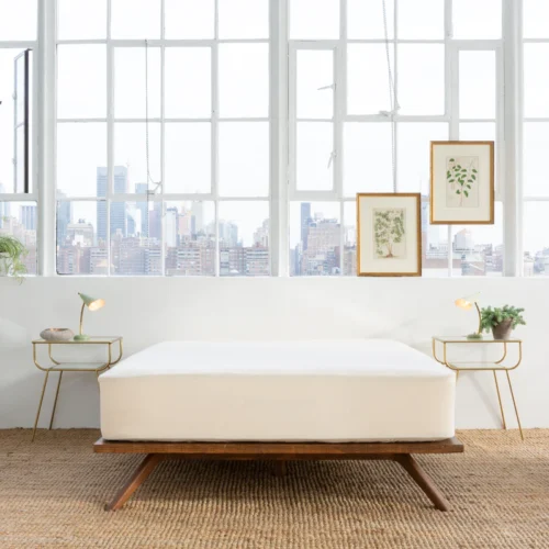 Avocado Green Mattress Organic Waterproof Mattress Protector