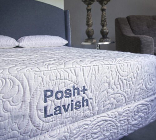 Posh & Lavish Fusion