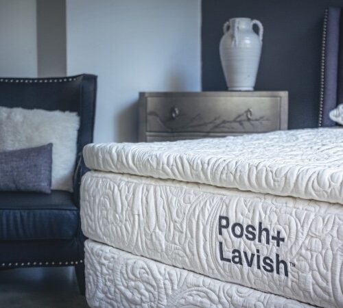 Posh & Lavish Reawaken True Pillow Top Mattress