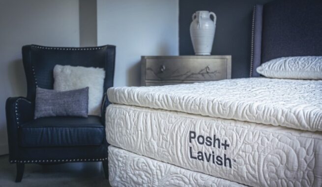 Posh & Lavish Reawaken True Pillow Top Mattress