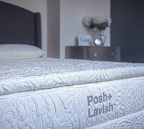 Posh & Lavish Release True Pillow Top Mattress