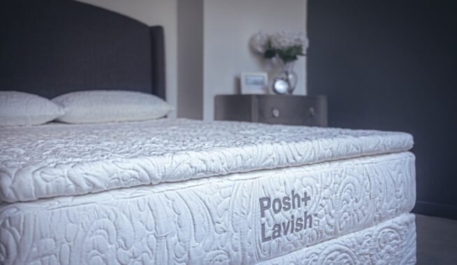 Posh & Lavish Release True Pillow Top Mattress