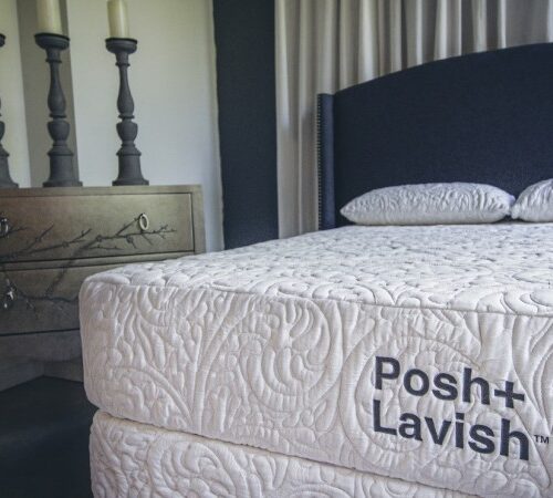 Posh & Lavish Reveal