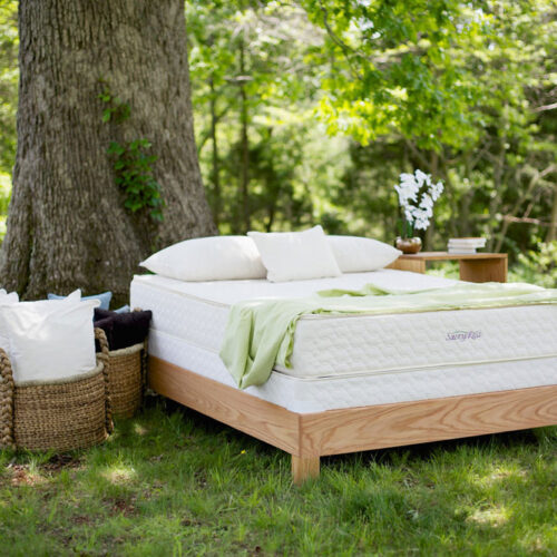 Savvy Rest Serenity