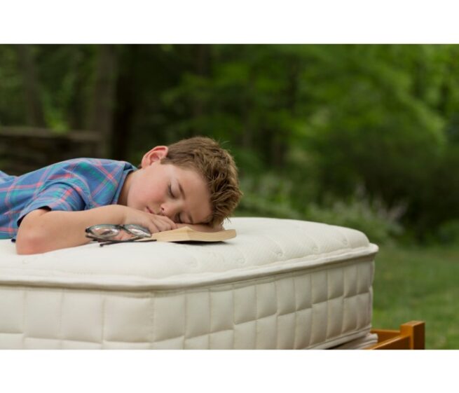Naturepedic Verse Organic Mattress - Image 6