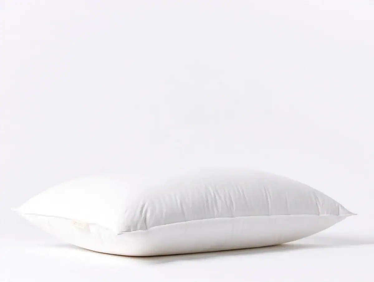 Coyuchi Feather/Down Pillow Insert