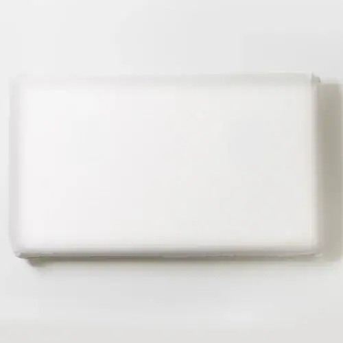 Coyuchi Turiya Organic Latex Pillow