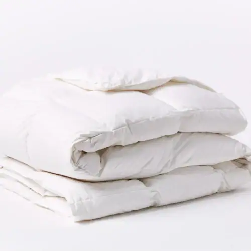 Coyuchi Winter Weight Down Duvet Insert